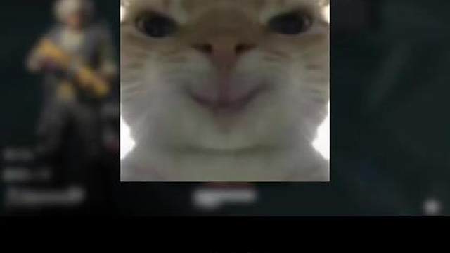 三角洲性价比最高的卡