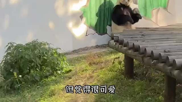 江浙沪被严重低估的反向旅游城市出现了