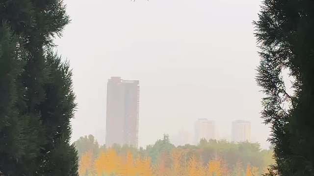 郑州旅游看这一篇就够了！