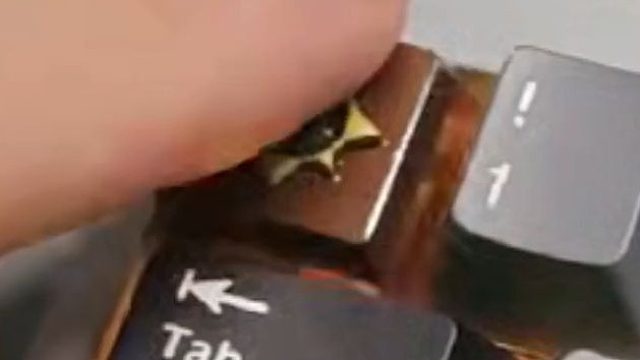 最有用的炉石周边！