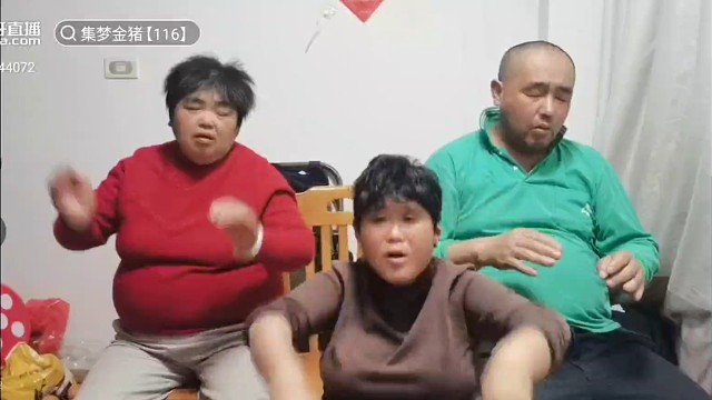 金猪直播中