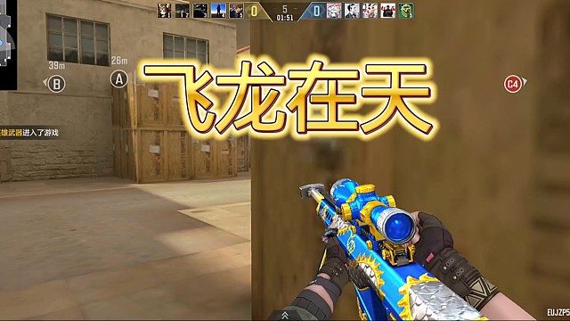 飞龙在天这把狙知道由来吗？