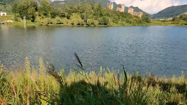 有请云南薛之谦