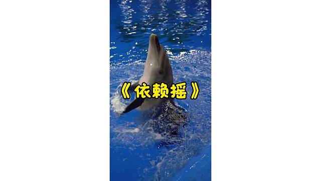 这年头，谁还没个才艺了！