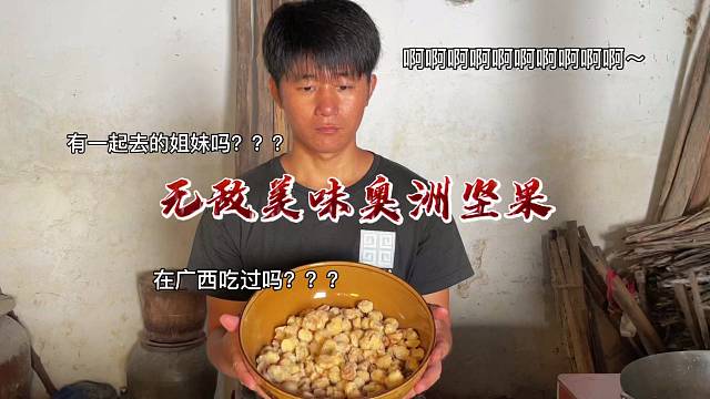 又到了丰收的季节，夏威夷果丰收啦，来自丰收的喜悦