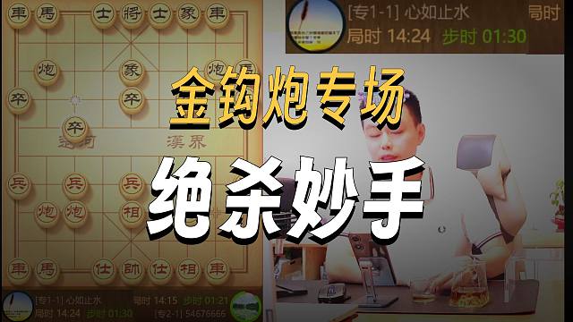 许银川遇到专3-3，直接逃跑。不是软件就是省冠