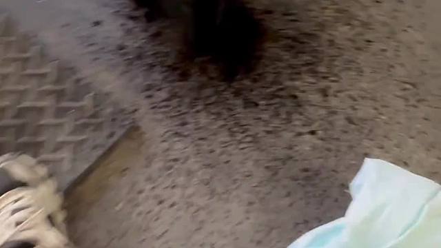 挑战“一年保养365台车” 第227台【领克03】