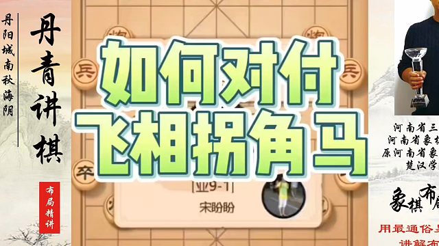 如何对付飞相拐角马？如何快速提升象棋水平系统学棋？如何学习象棋布局、中局、残局？真心教棋，少走弯路，