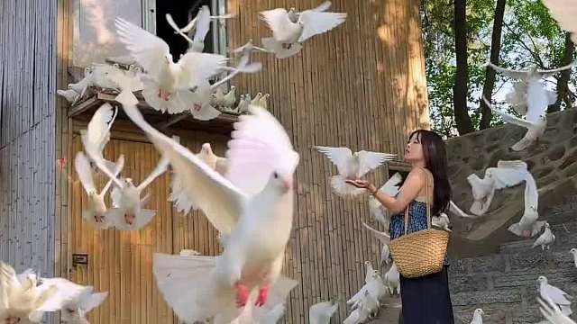 不许说郑州不好玩了