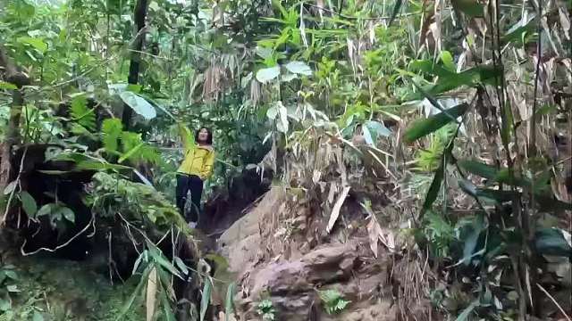 这才是西双版纳正确的打开方式