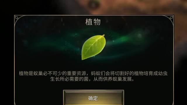 《小小蚁国》是一款 3D 写实蚂蚁题材策略手游