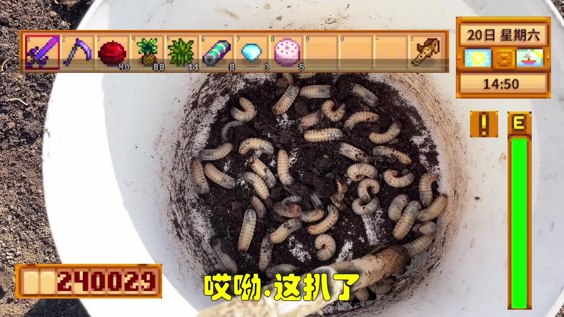 【星露谷物语】这个一定能钓鱼！