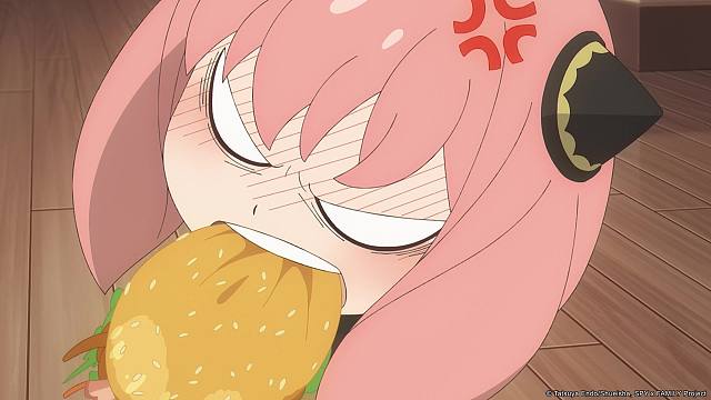 【木棉花授权】间谍过家家 第三季 PV