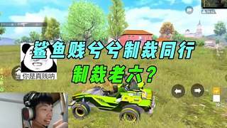 《鯊魚開局制裁茍分仔同行，決賽圈一打一沒贏過？》