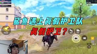 《鯊魚遇上真假護(hù)衛(wèi)隊(duì)，活到最后的都是臥龍鳳雛？》