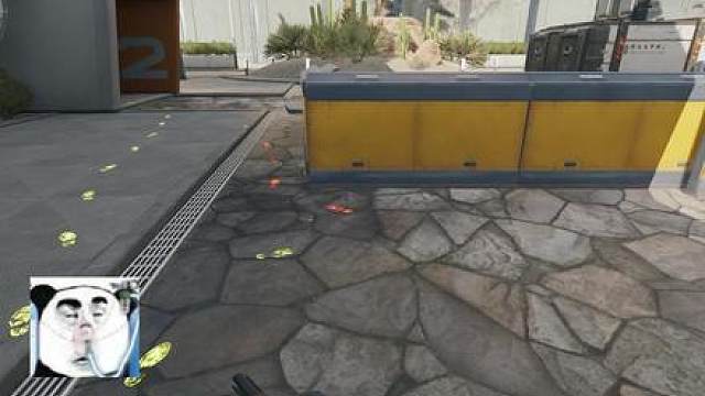 终于还是等到你，鸟飞