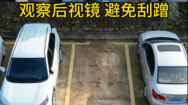 1分钟掌握倒车入库的技巧，新手上路必学技能