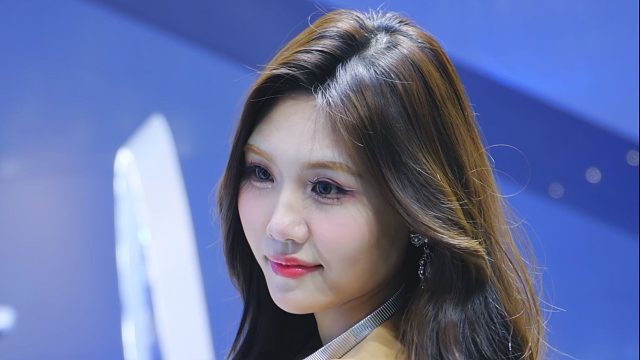 4K 2025粤港澳大湾区车展 车模 135