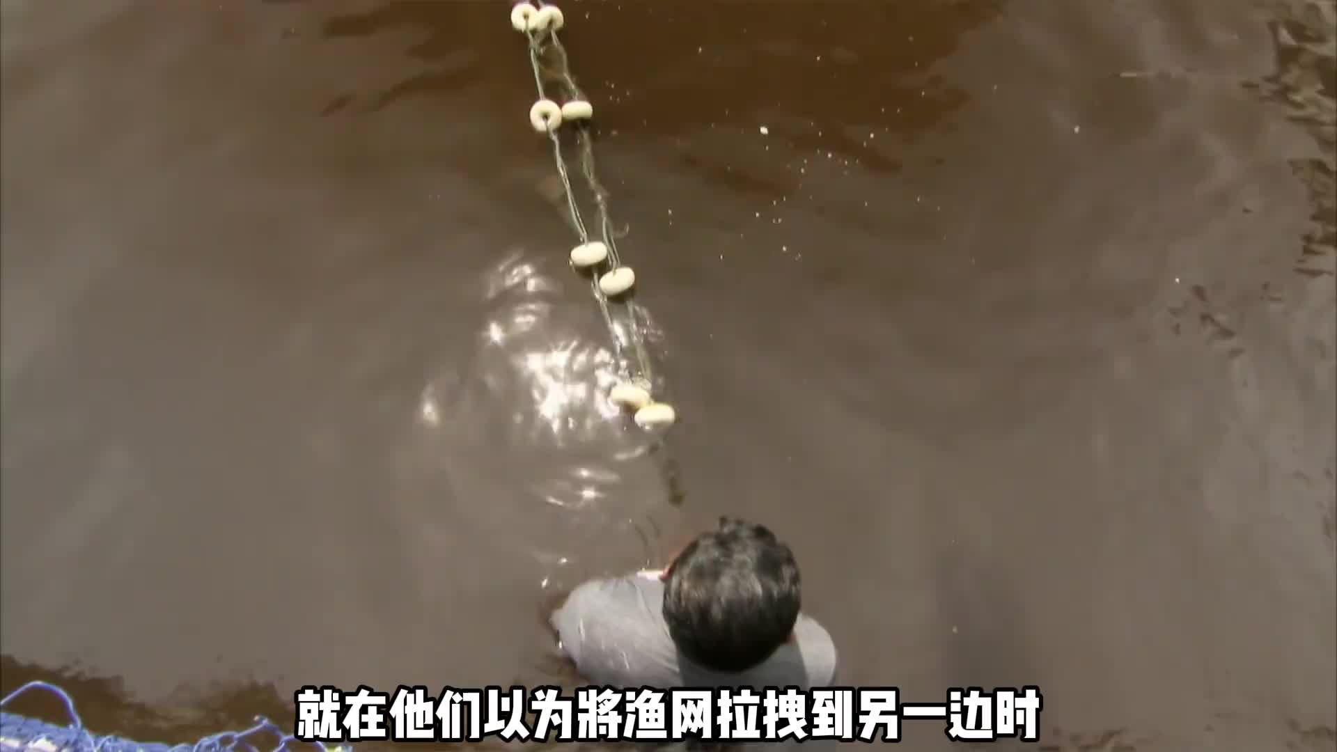 《巨骨舌鱼》亚马逊河中最大体型的鱼类，也是钓鱼佬的终极梦想 (2)