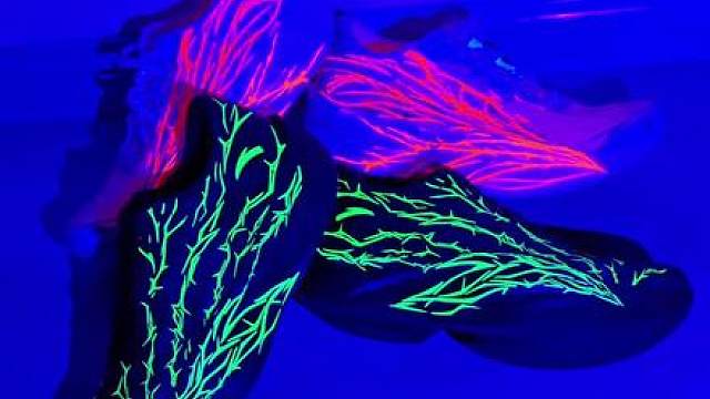 都是特殊设计的配色，也算是各有特点，那么是凤凰浴火重生般的心跳更好看呢