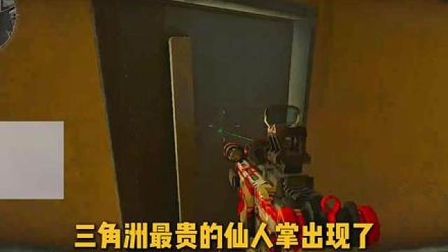 三角洲最贵的仙人掌出现了