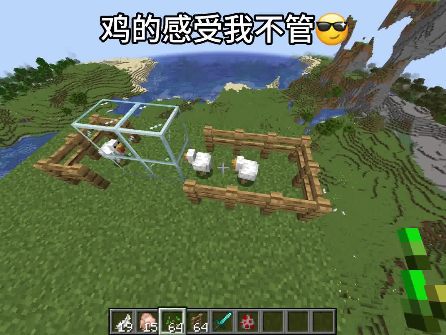 鸡的感受我不管