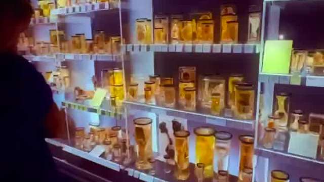 求你将我放在心上如印记，带在你臂上如戳记，因为爱如死之坚强。——雅歌