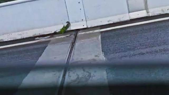 谢谢刀子的款待