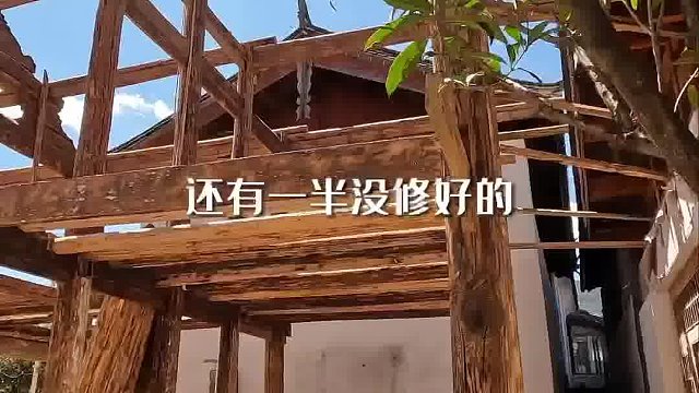 总要在这里摆烂一天吧