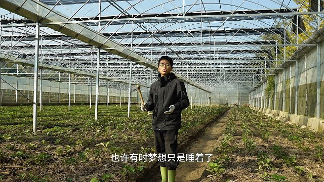 也许有些梦想只是睡着了，他在等待着一个春天，就像这些种苗，就像我一样。