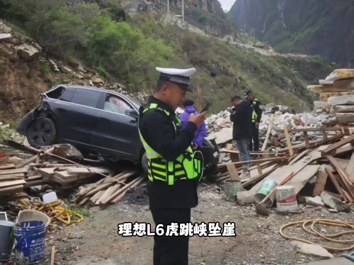 理想L6坠崖，车主衣稍脏，爱犬无恙，车身防护实强