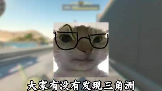 谁家固排来认领一下