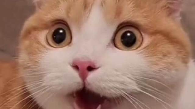 好家伙，兄弟们！“英雄联盟2D嘉年华”还能这样玩？