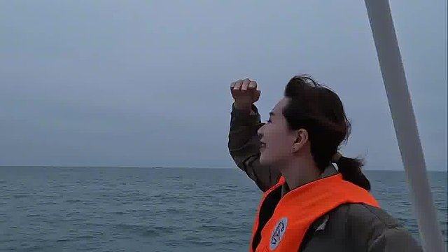 风浪越大 鱼越贵