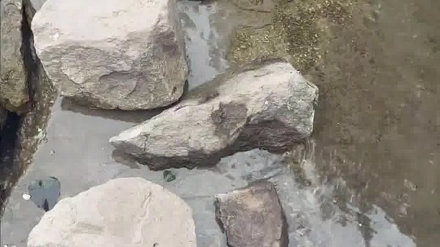 杭州这条路，怎么走着走着就看到瀑布啦