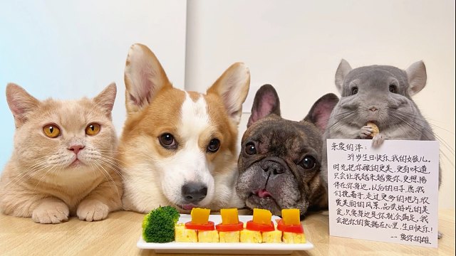 生日快乐，我的女孩。