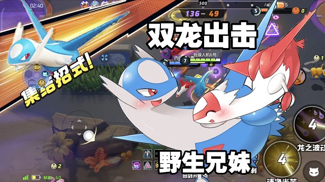 国服一周年，新出兄妹神兽实战！纯野生兄妹【国服】