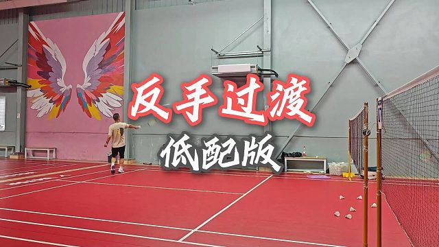 【中羽二级半真实训练】今天球搭子不知道是不是有心事！心不在焉的！好好地给我放个网干啥！！优雅地反手过