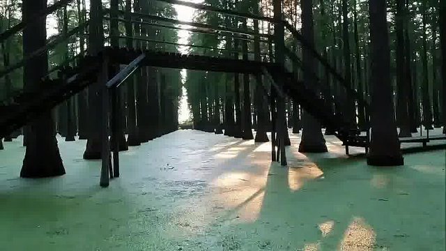 这里的水真的不臭