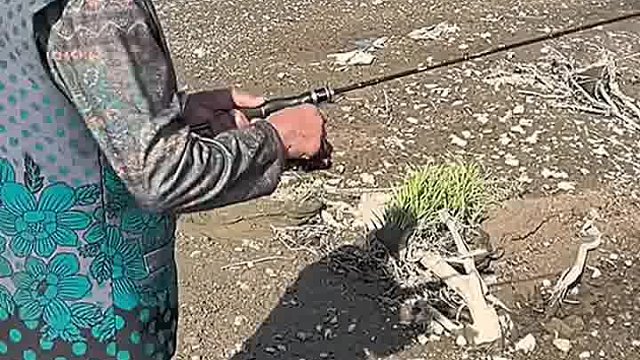 奶奶还会钓鱼呢