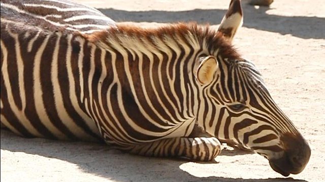 随地大小滚，好惬意