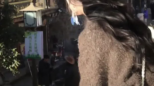 秋冬才是我的主场