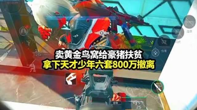 卖黄金鸟窝给豪猪扶贫！拿下天才少年六套800万撤离