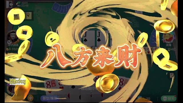 八雀专场