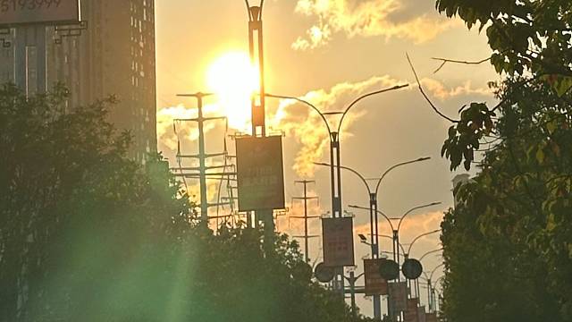 她们说“孤独是生活常态”，所以陪伴格外珍贵。