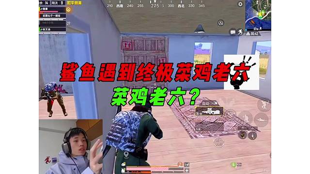 《鲨鱼扛毒爆炸烈弓疯狂收割，投靠队友险被老六制裁？》