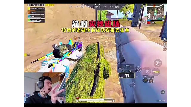 鲨鱼回渔村遭遇天谴卡箱