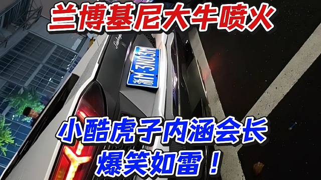 兰博基尼大牛喷火！小酷虎子内涵会长爆笑如雷