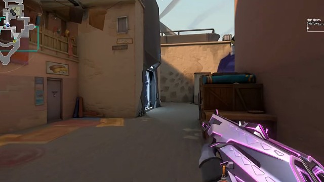 颗我的时候精的要死 网上又当上小猫了