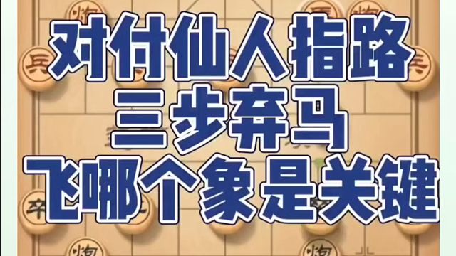 对付仙人指路三步弃马，飞哪个象是关键！如何快速提升象棋水平系统学棋？如何学习象棋布局、中局、残局？真